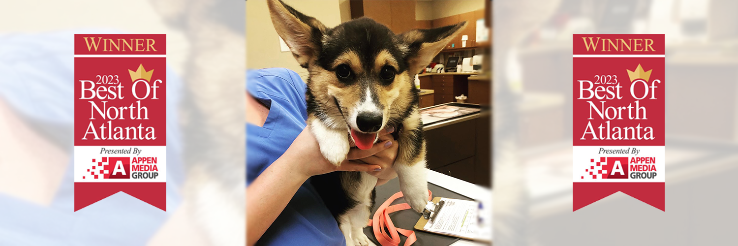 north fulton county vet