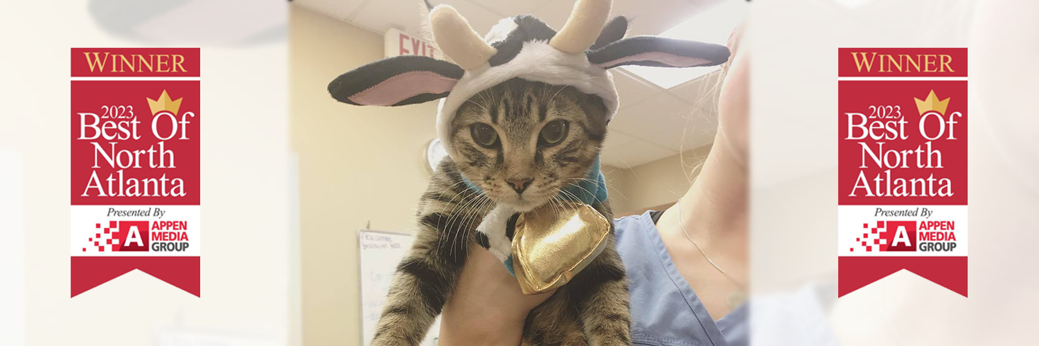 alpharetta veterinarian