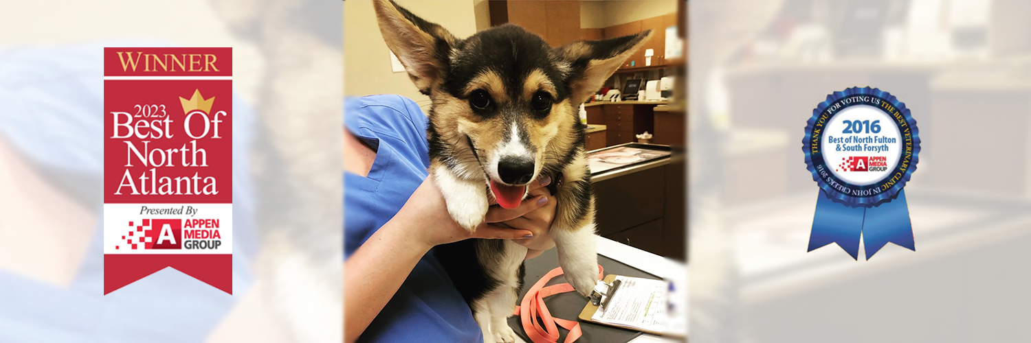 north fulton county vet