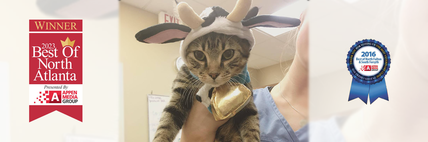 alpharetta veterinarian