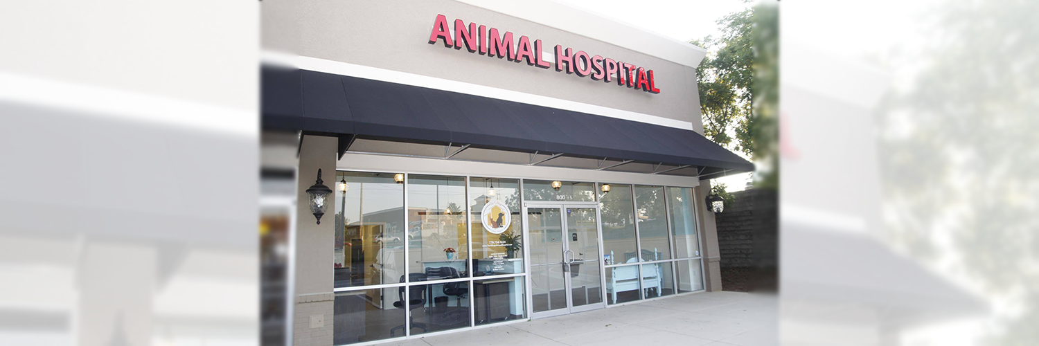 johns creek vet