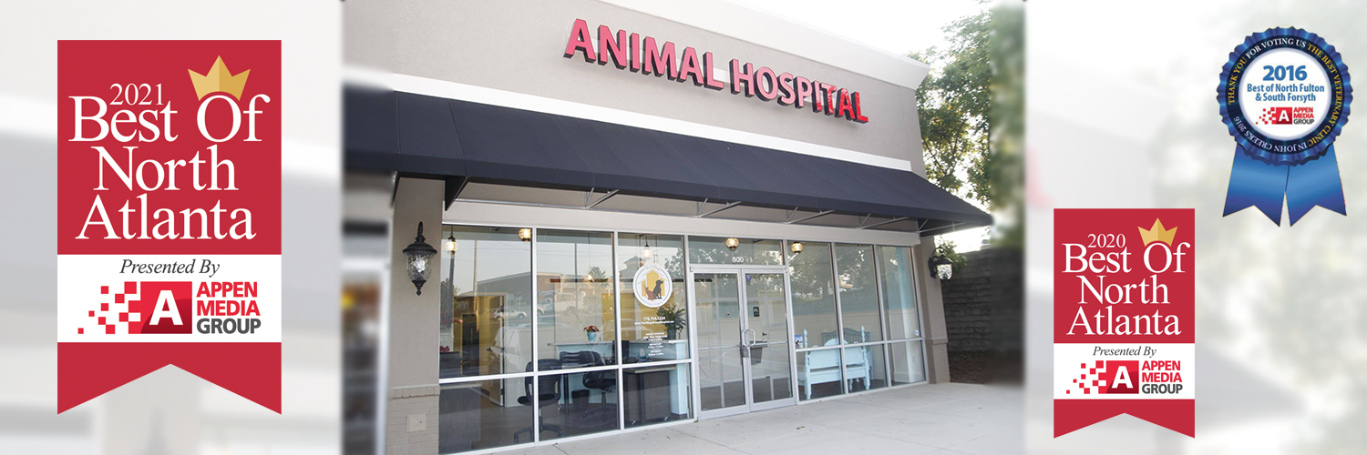 johns creek vet