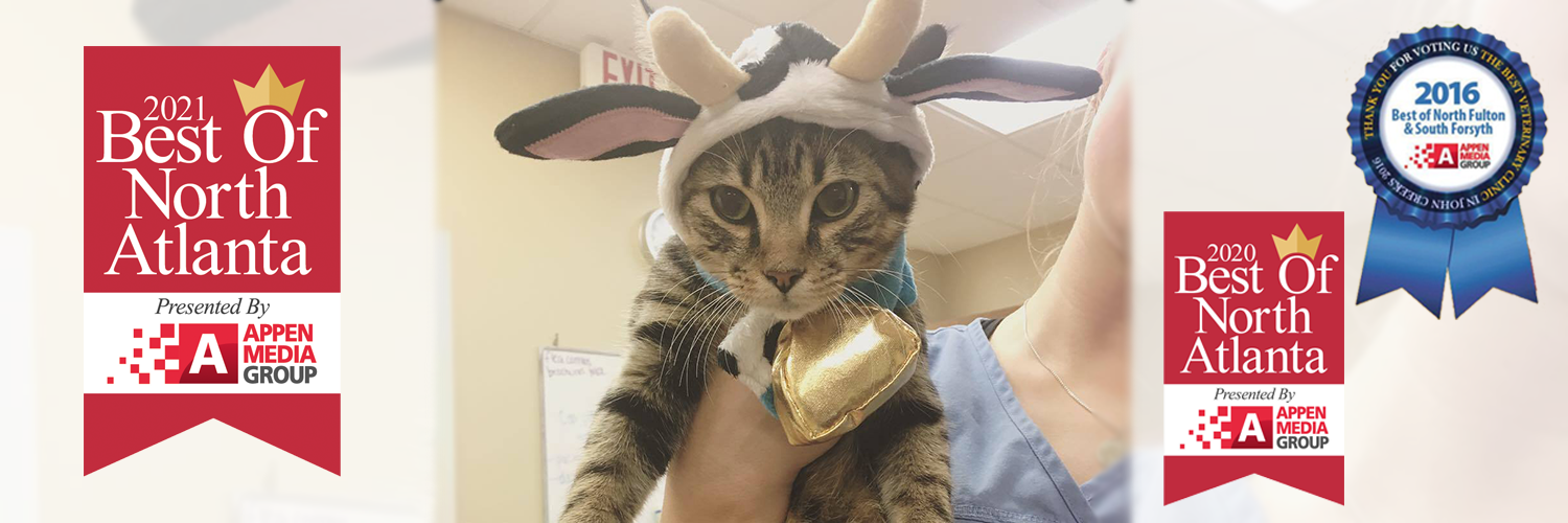 alpharetta veterinarian
